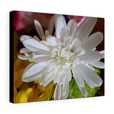 Canvas Gallery Wraps Nia's White Dahlia Flower