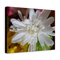 Canvas Gallery Wraps Nia's White Dahlia Flower