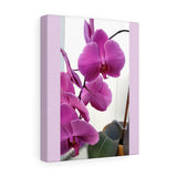 Stretched canvas Nia's - Vanessa Orchid