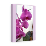 Stretched canvas Nia's - Vanessa Orchid