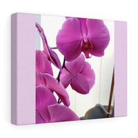 Stretched canvas Nia's - Vanessa Orchid