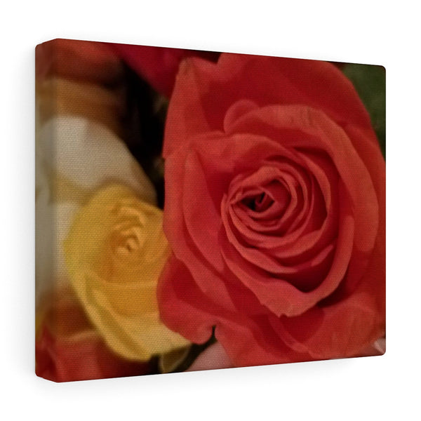 Canvas Gallery Wraps -Nia's Rose